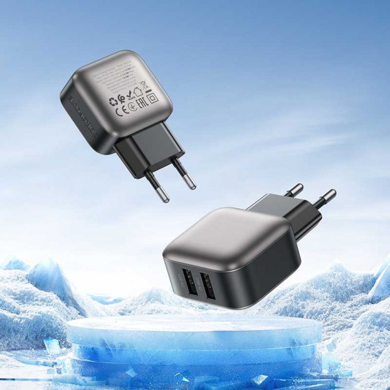 Блок живлення Borofone BAS51A Absolute 12W (2USB-A) + кабель USB to Type-C Black