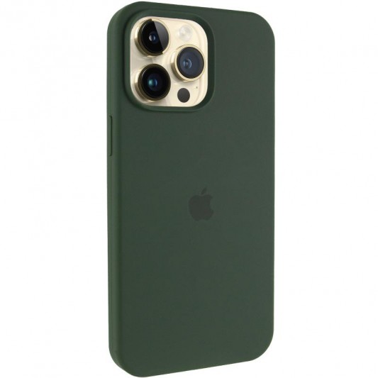 Чохол Silicone Case (AA) Logo with MagSafe для Apple iPhone 12 Pro / 12 (6.1") Зелений / Cyprus Green