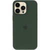 Чохол Silicone Case (AA) Logo with MagSafe для Apple iPhone 12 Pro / 12 (6.1") Зелений / Cyprus Green