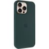 Чохол Silicone Case Full Protective (AA) для Apple iPhone 13 Pro, Зелений / Forest green