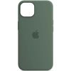 Чохол Silicone case (AAA) with Magsafe and Animation для Apple iPhone 13, Зелений / Eucalyptus