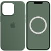 Чохол Silicone case (AAA) with Magsafe and Animation для Apple iPhone 13 Pro, Зелений / Eucalyptus