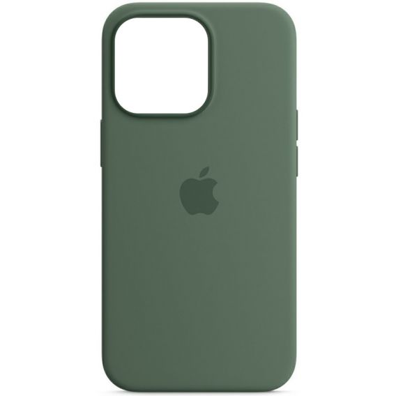 Чохол Silicone case (AAA) with Magsafe and Animation для Apple iPhone 13 Pro, Зелений / Eucalyptus