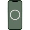 Чохол Silicone case (AAA) with Magsafe and Animation для Apple iPhone 13 Pro, Зелений / Eucalyptus