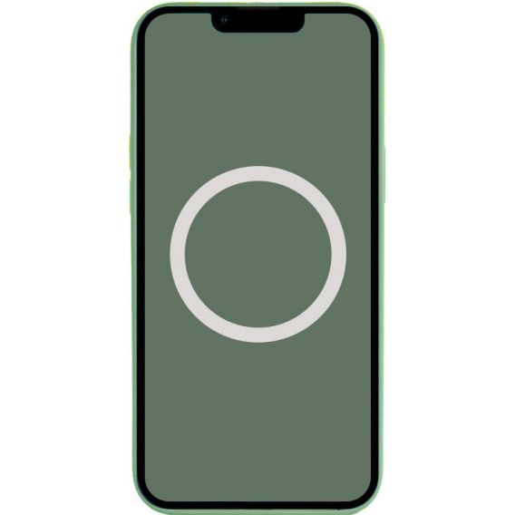 Чохол Silicone case (AAA) with Magsafe and Animation для Apple iPhone 13 Pro, Зелений / Eucalyptus