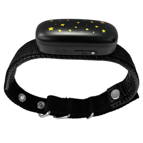 Трекер GPS для тварин V53 Pet Tracker SIM (4GLTE) 900mAh, Black