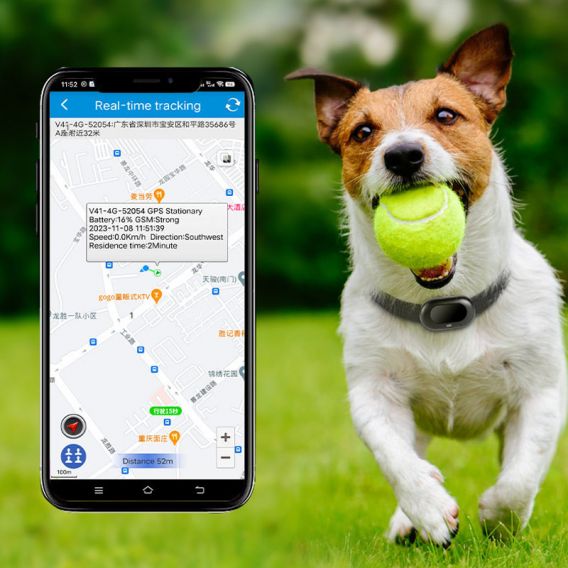 Трекер GPS для тварин V41 Pet Tracker SIM (4GLTE+3GWCDMA+2GGSM) 1300mAh, White