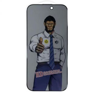 Защитное стекло Privacy 5D Anti-Static (тех.пак) для Apple iPhone 17 / 16 Pro, Черный