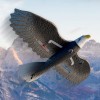 Літак-птица на радіокеруванні SCHE HW40 Eagle Black