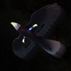 Літак-птица на радіокеруванні SCHE HW40 Eagle Black