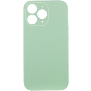 Чохол Silk Full Camera Protective (AA) NO LOGO для Apple iPhone 12 Pro (6.1") Зелений / Pistachio Чохол Silk Full Camera Protective (AA) NO LOGO для Apple iPhone 12 Pro (6.1") Зелений / Pistachio