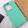Кожаный чехол Leather Case (AA Plus) with Magnetic Fit для Apple iPhone 13 Pro (6.1") Ice